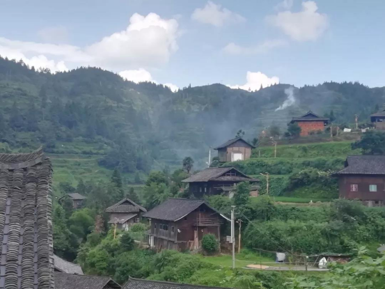 旅游和村寨建设使得红阳村农家乐旅游合作社发展势头良好,从原来的12